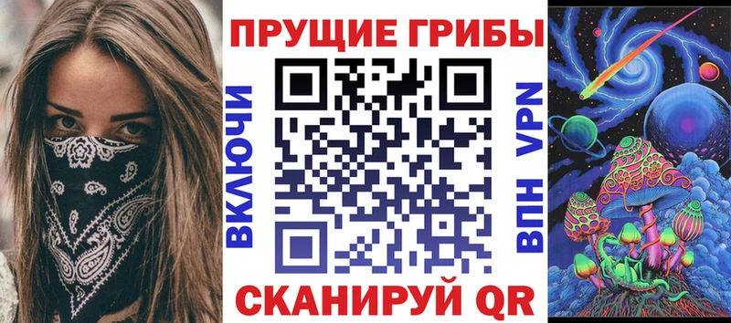 МЕГА ссылки  Бежецк  Псилоцибиновые грибы Psilocybe  даркнет сайт 